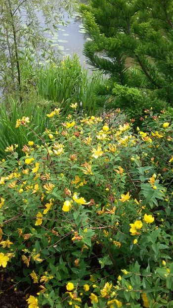  - 2018 Park Der Gaerten - Bad Zwischenahn