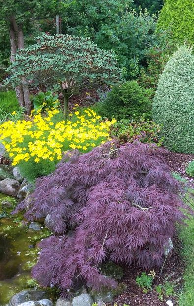  - 2018 Park Der Gaerten - Bad Zwischenahn