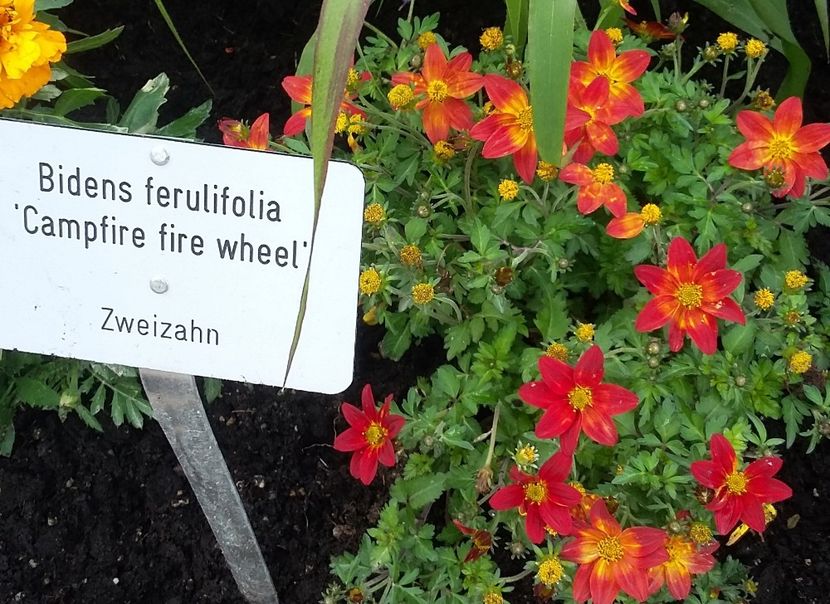  - 2018 Park Der Gaerten - Bad Zwischenahn