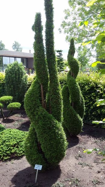  - 2018 Park Der Gaerten - Bad Zwischenahn