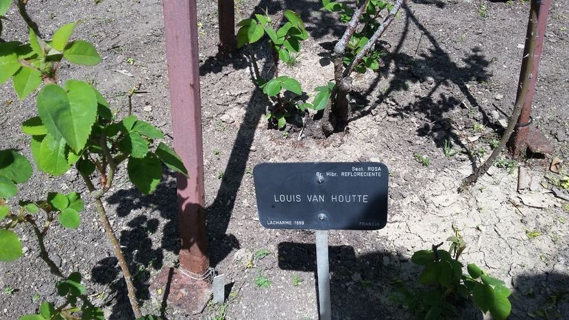  - 2018 Grădina Botanică Regală din Madrid