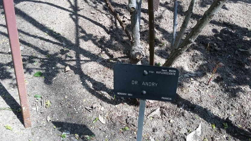  - 2018 Grădina Botanică Regală din Madrid