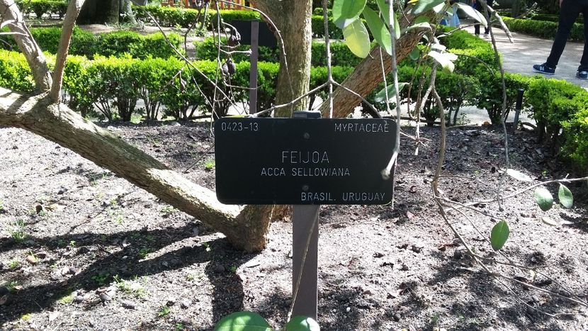  - 2018 Grădina Botanică Regală din Madrid