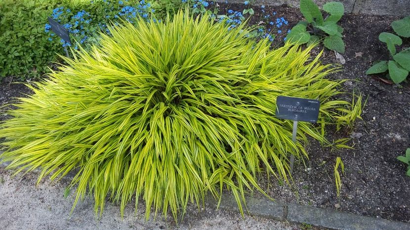  - 2018 Grădina Botanică Regală din Madrid