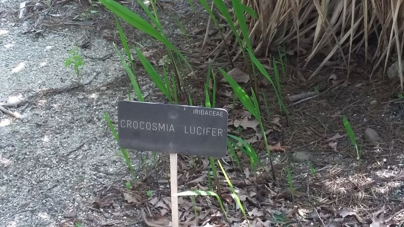  - 2018 Grădina Botanică Regală din Madrid