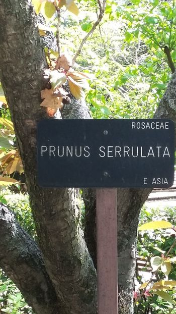  - 2018 Grădina Botanică Regală din Madrid