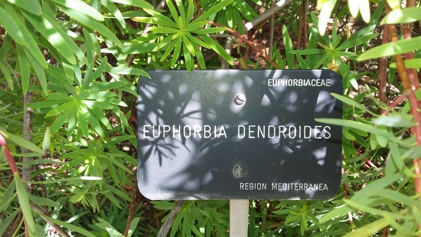  - 2018 Grădina Botanică Regală din Madrid