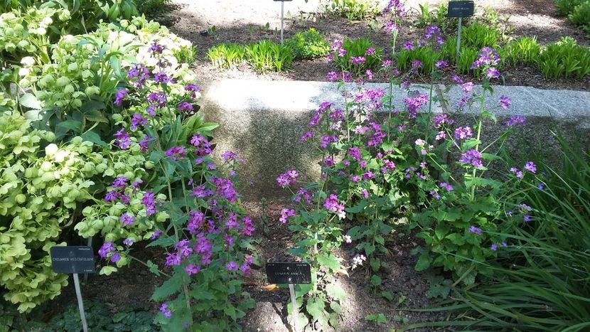  - 2018 Grădina Botanică Regală din Madrid