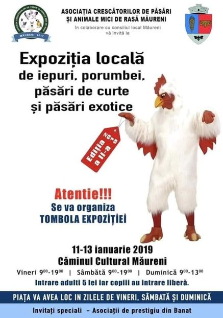  - T--TARGURI SI EXPOZITII