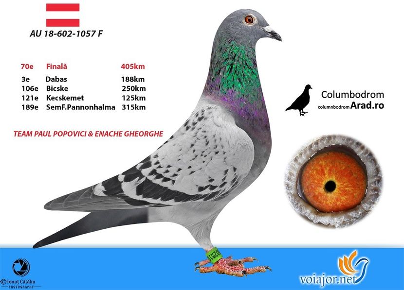 1472-1772 Paula - Paula