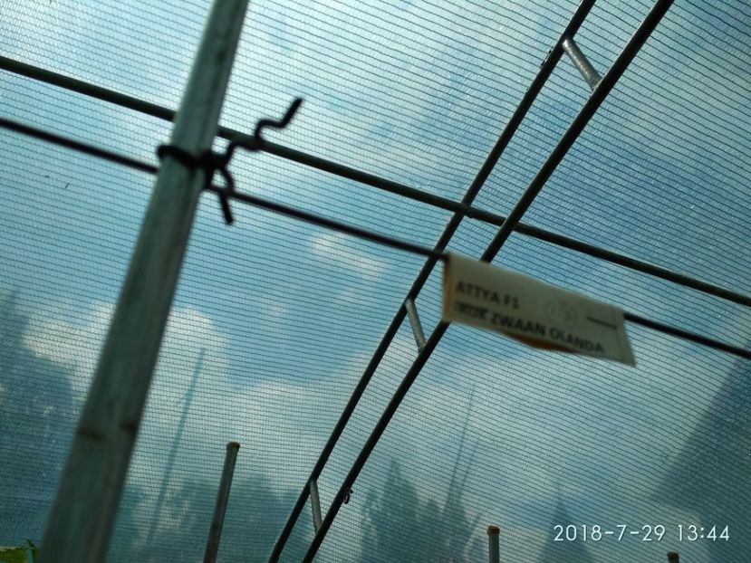 ATTIYA F1 2018 (8) - ATTYIA F1 2017-2018