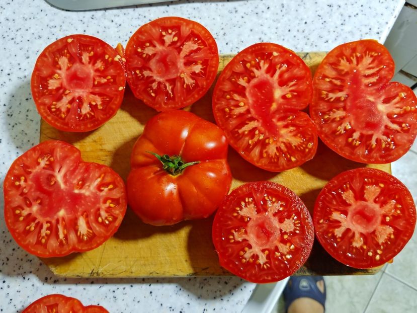 AURORA VS 2018 (2) - AURORA 2016-2018