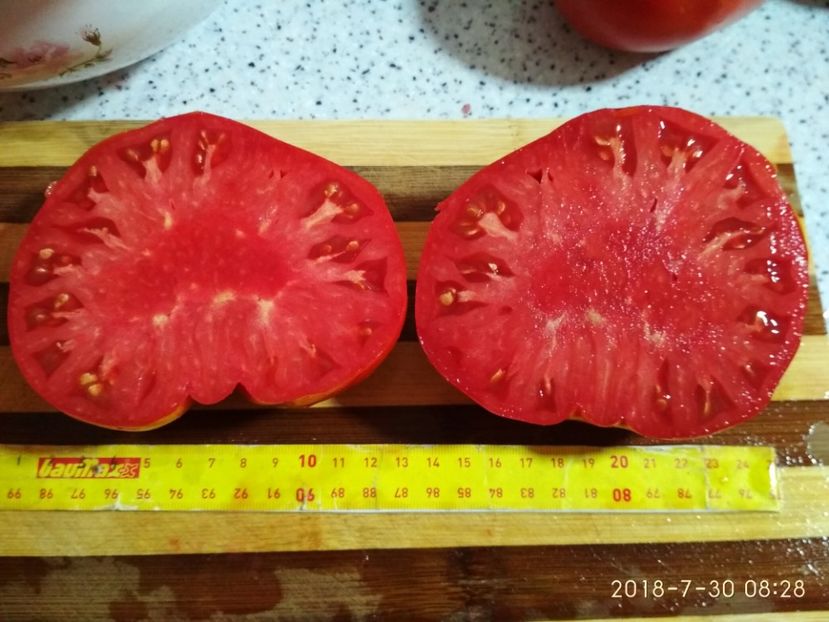 BEEFSTEAK 493 GR -2018 (7) - BEEFSTEAK 2016-2018