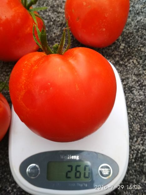 BIG DADDY 2018 (1) - BIG DADDY 2017-18