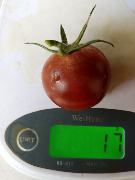 BLACK CHERRY UKR 2018 (5) - BLACK CHERRY UKR