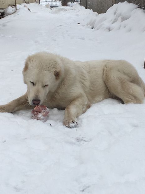 8A09764C-676D-4D7A-B32B-60D19258EB02 - Masha