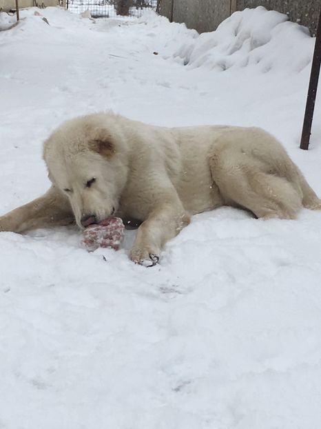 9E5A9354-F02A-44AF-BF8B-50E0EC1C7B5B - Masha