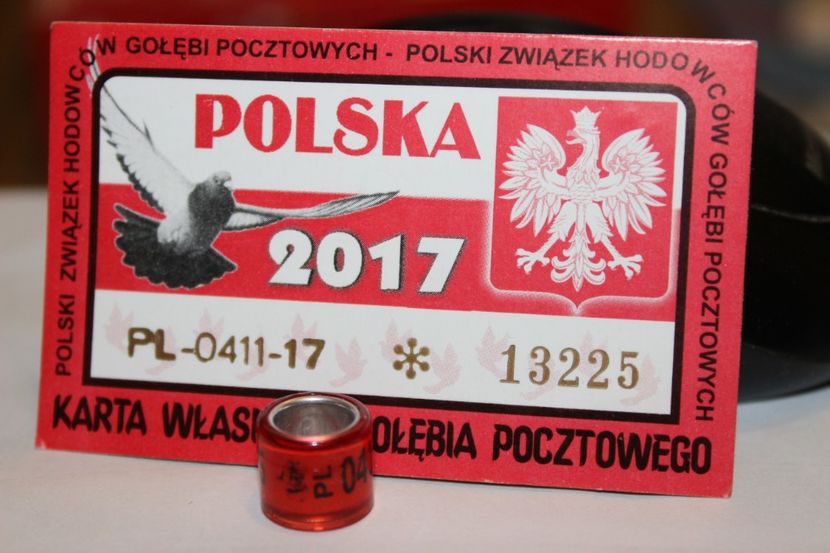  - INELE PENTRU SCHIMB csere gyuru