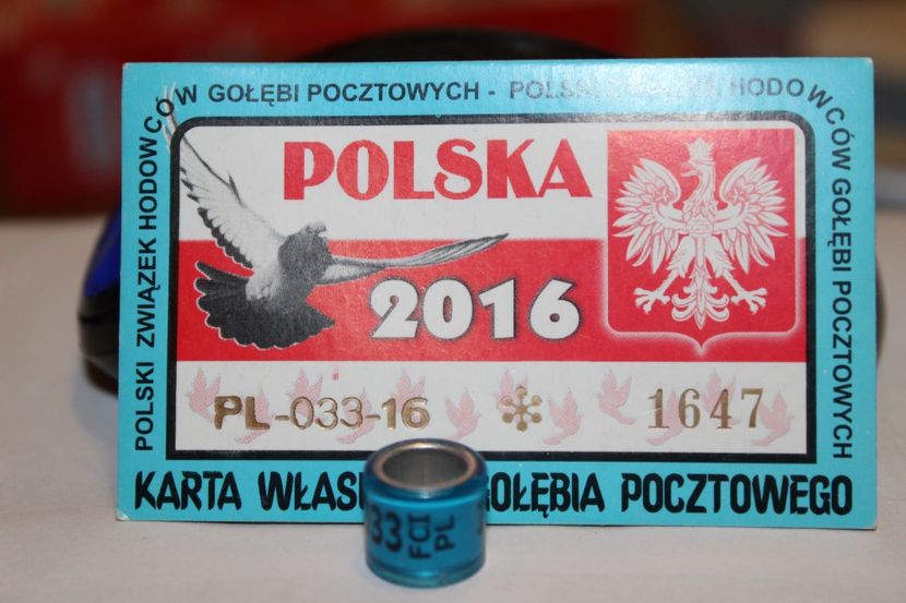 PL FCI 2O16 - POLONIA PL