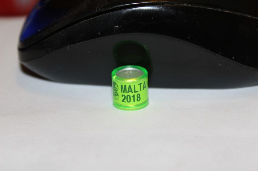MALTA 2018 - MALTA