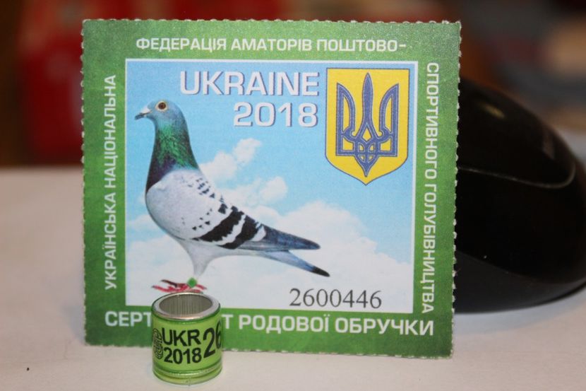  - INELE PENTRU SCHIMB csere gyuru