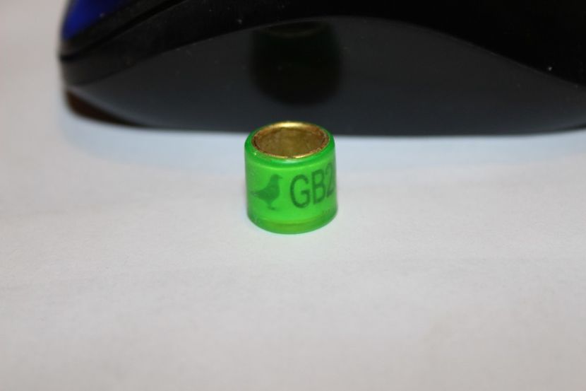  - INELE PENTRU SCHIMB csere gyuru