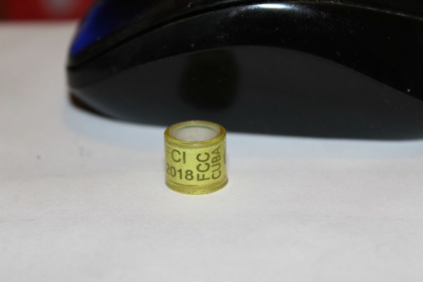  - INELE PENTRU SCHIMB csere gyuru