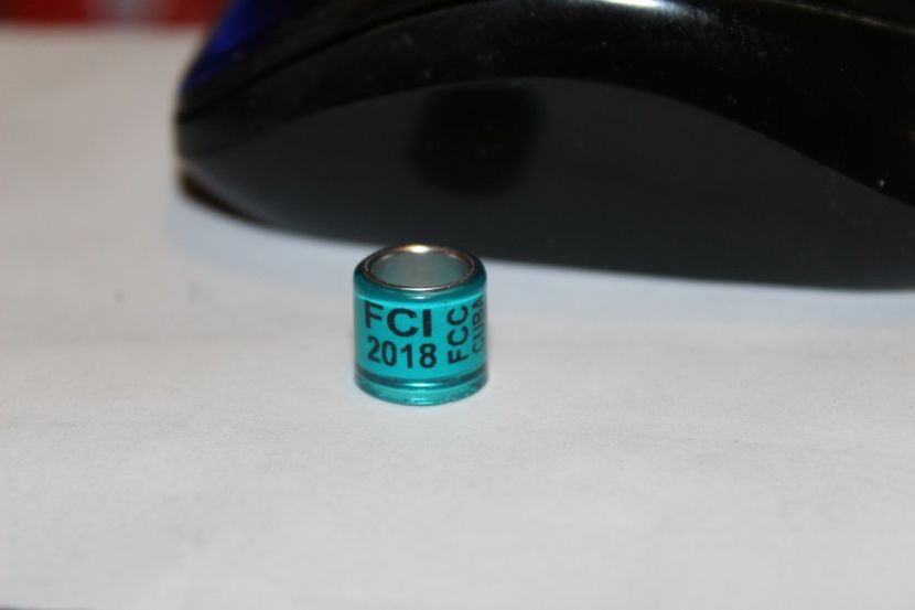  - INELE PENTRU SCHIMB csere gyuru