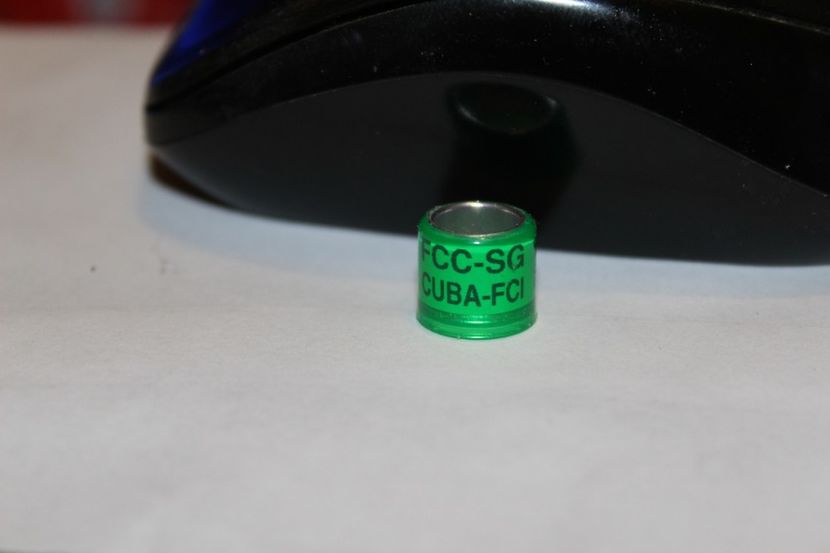  - INELE PENTRU SCHIMB csere gyuru