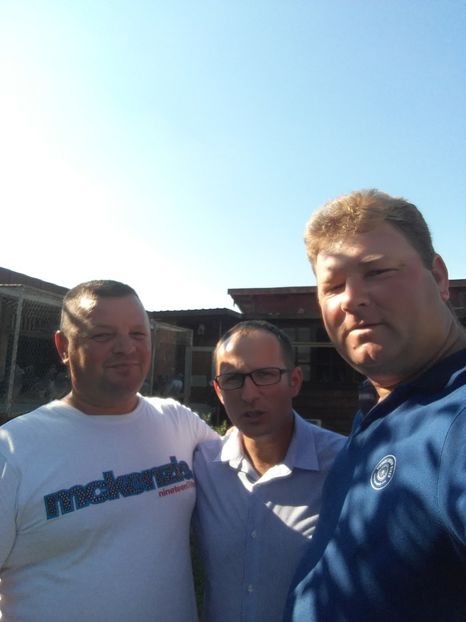  - Nedea Emil Pitesti