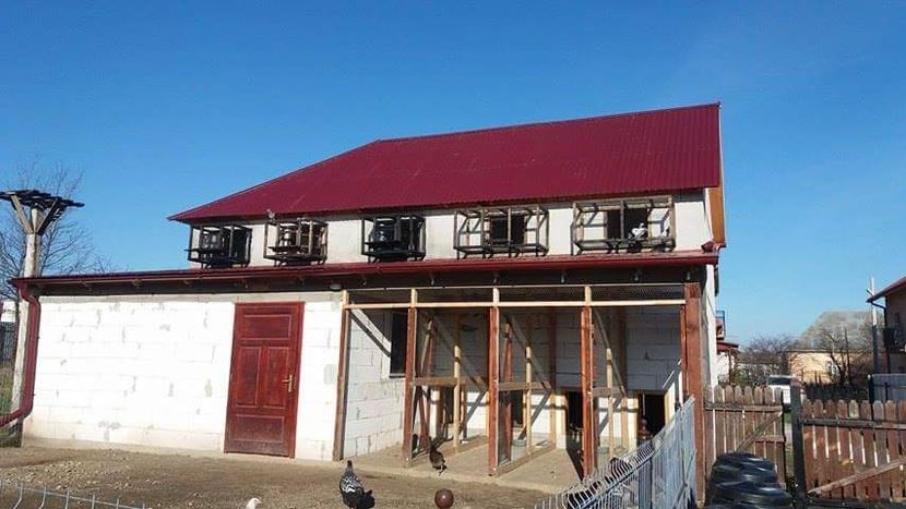 received_1767665173498520 - Voliera