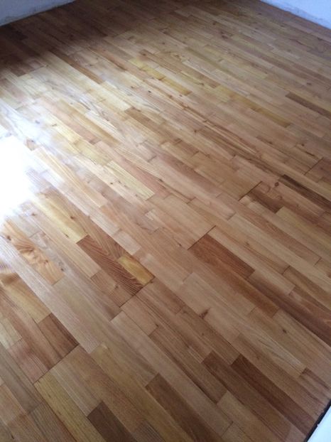 ‘Sigilat’ -9.01.2019 - Camera 1