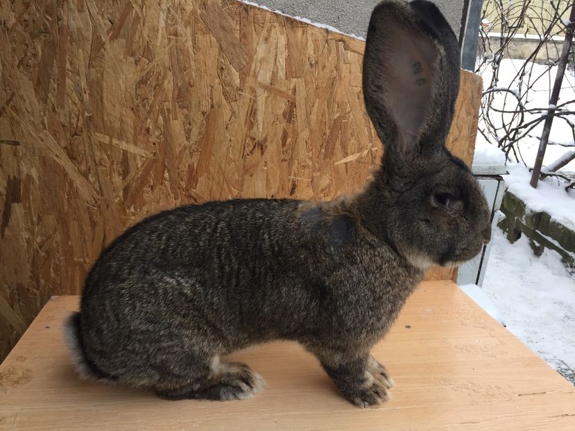 D8B38263-2657-4003-9A30-5B01013436F4 - RO8-1861