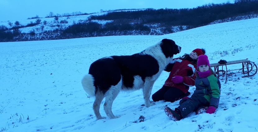 08.01.2019 - 1-C R B Codi-Bura-Ozana-Guta si fetele