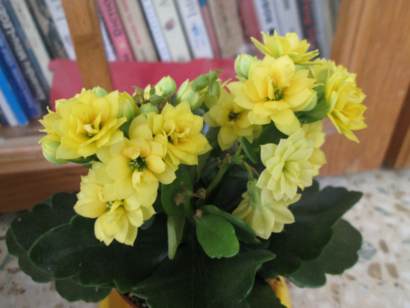  - Frumuseti la casa parinteasca