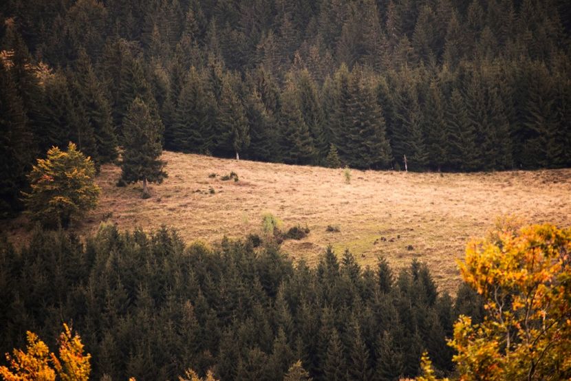  - Sfarsit de septembrie