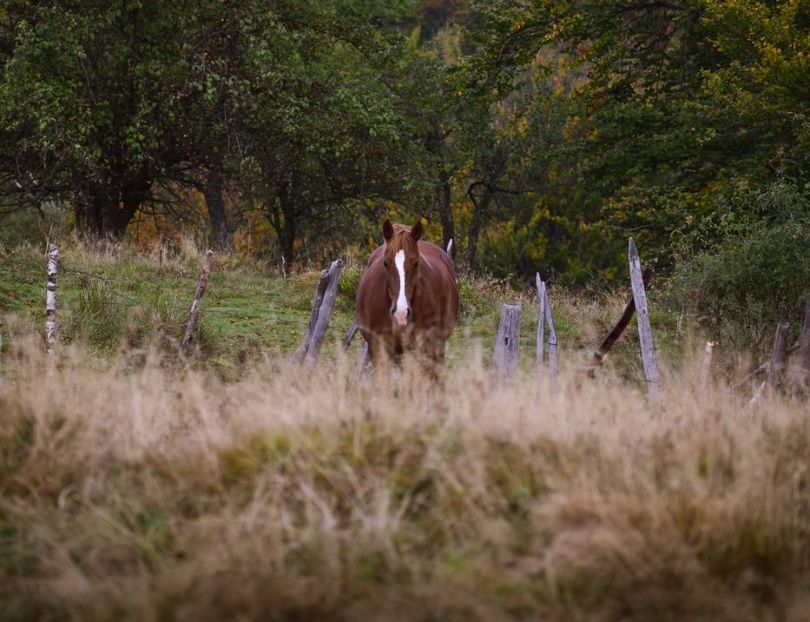  - Sfarsit de septembrie
