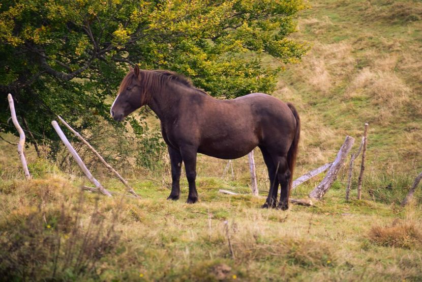  - Sfarsit de septembrie