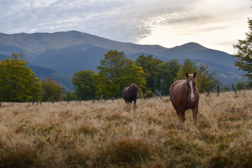  - Sfarsit de septembrie