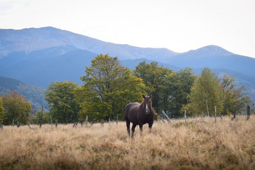  - Sfarsit de septembrie