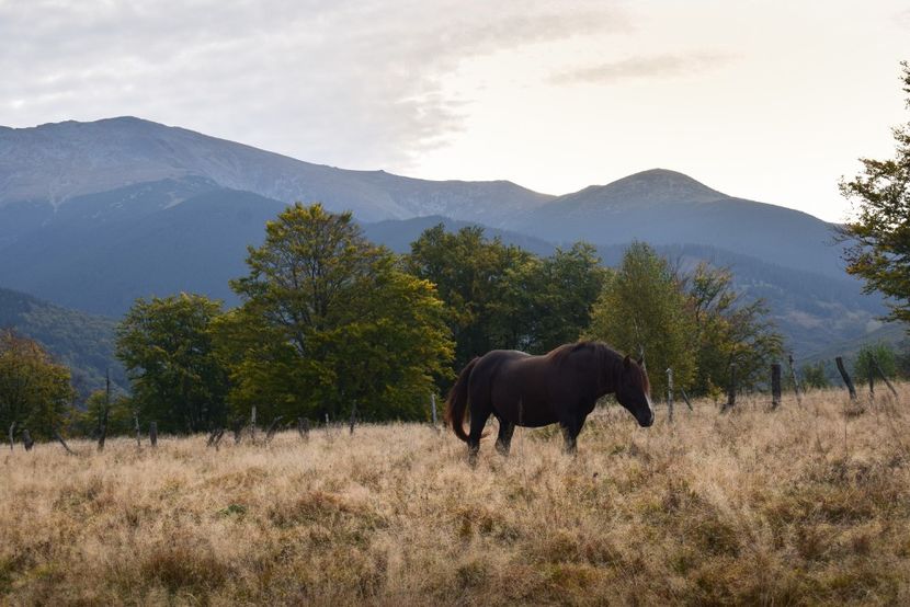  - Sfarsit de septembrie