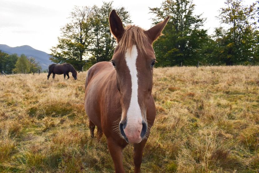  - Sfarsit de septembrie