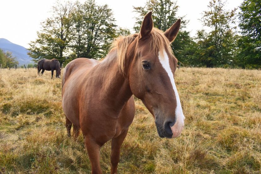  - Sfarsit de septembrie