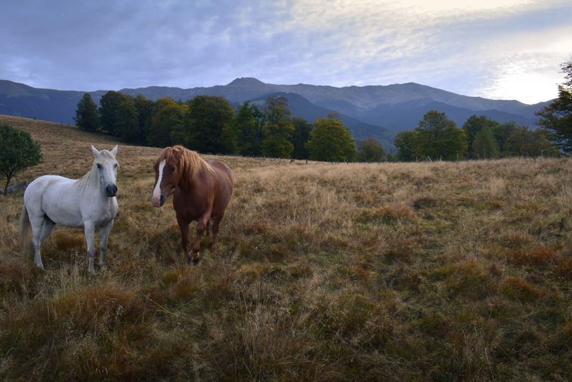  - Sfarsit de septembrie