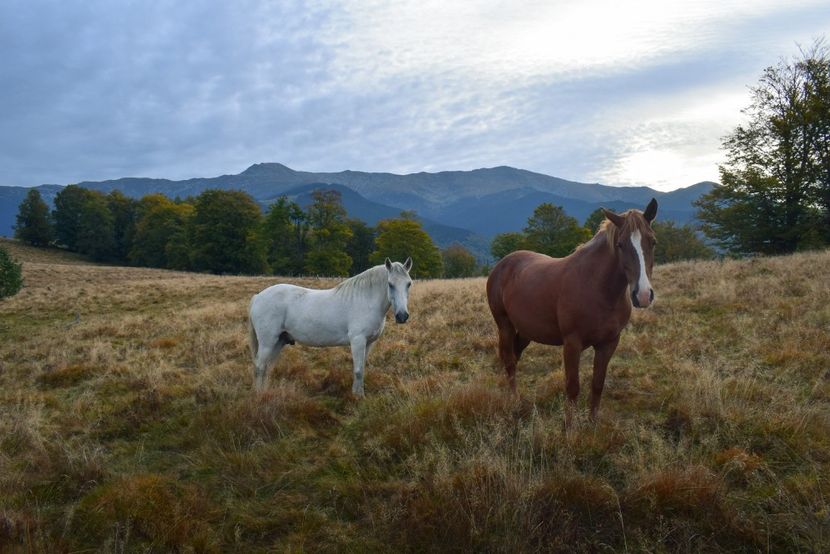  - Sfarsit de septembrie