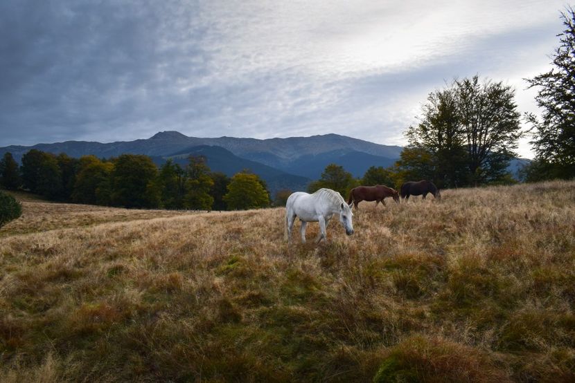  - Sfarsit de septembrie