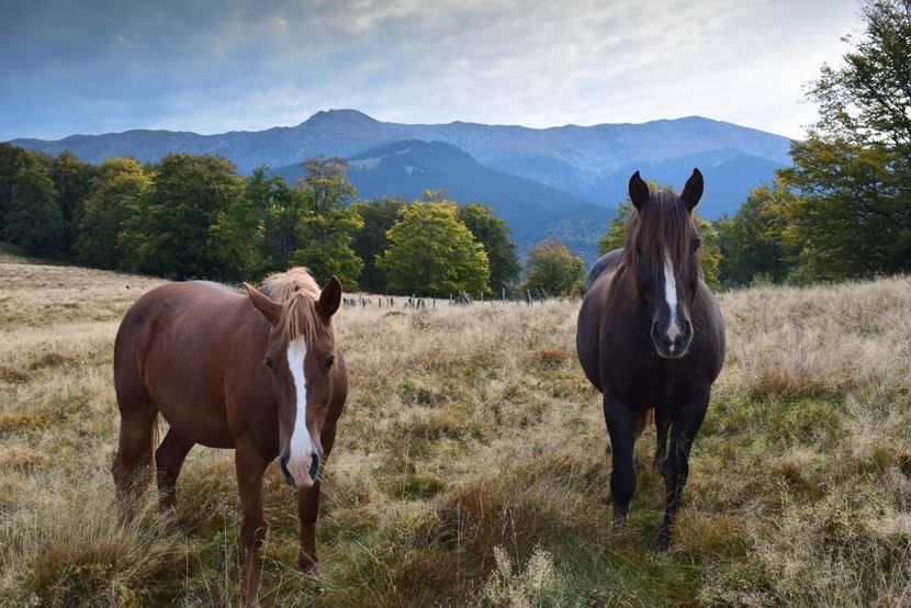  - Sfarsit de septembrie