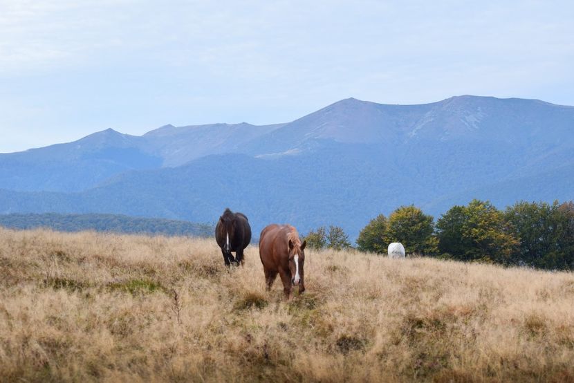  - Sfarsit de septembrie