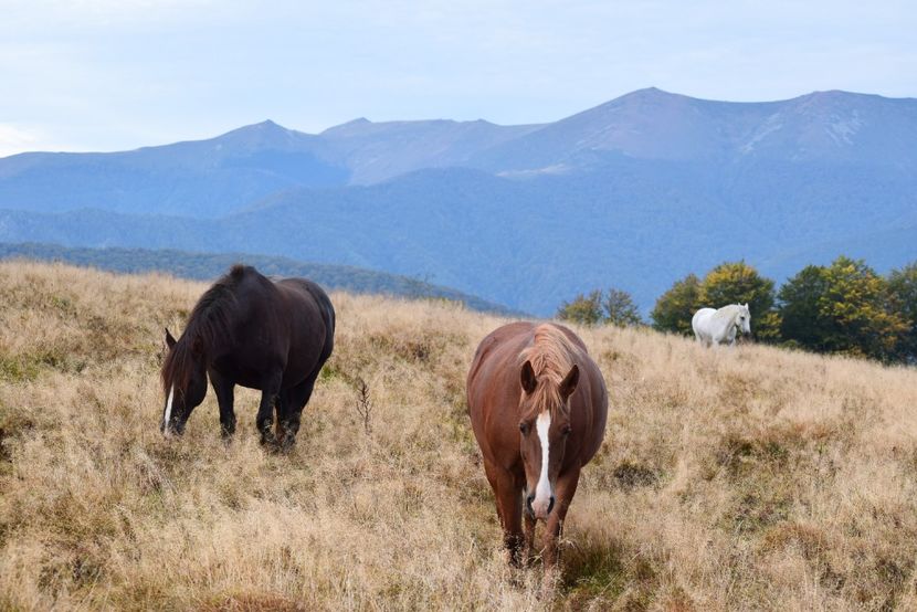  - Sfarsit de septembrie