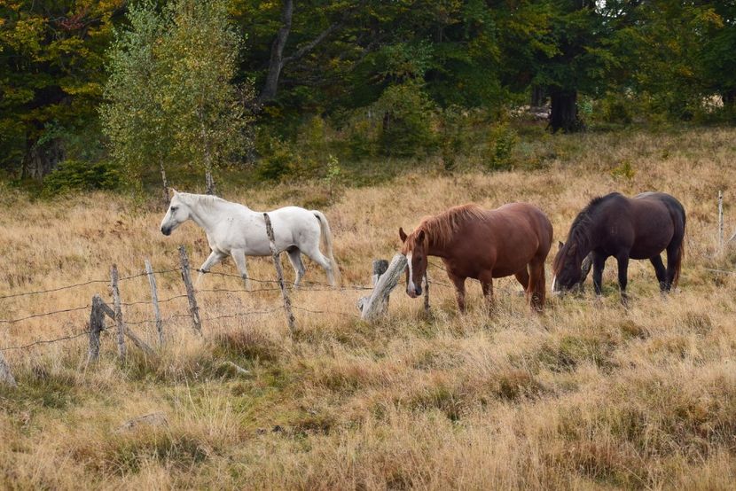  - Sfarsit de septembrie